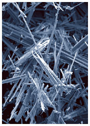 asbestos microscopic shot