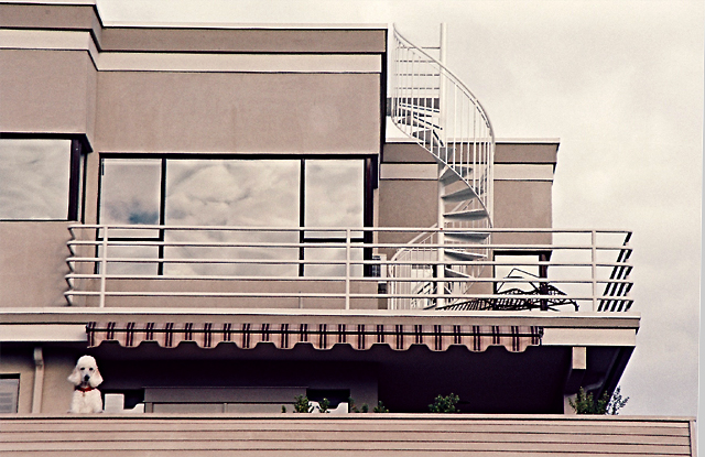 Magnolia Hill Modern