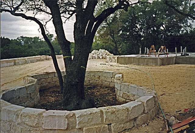 Michaels Cove Progress